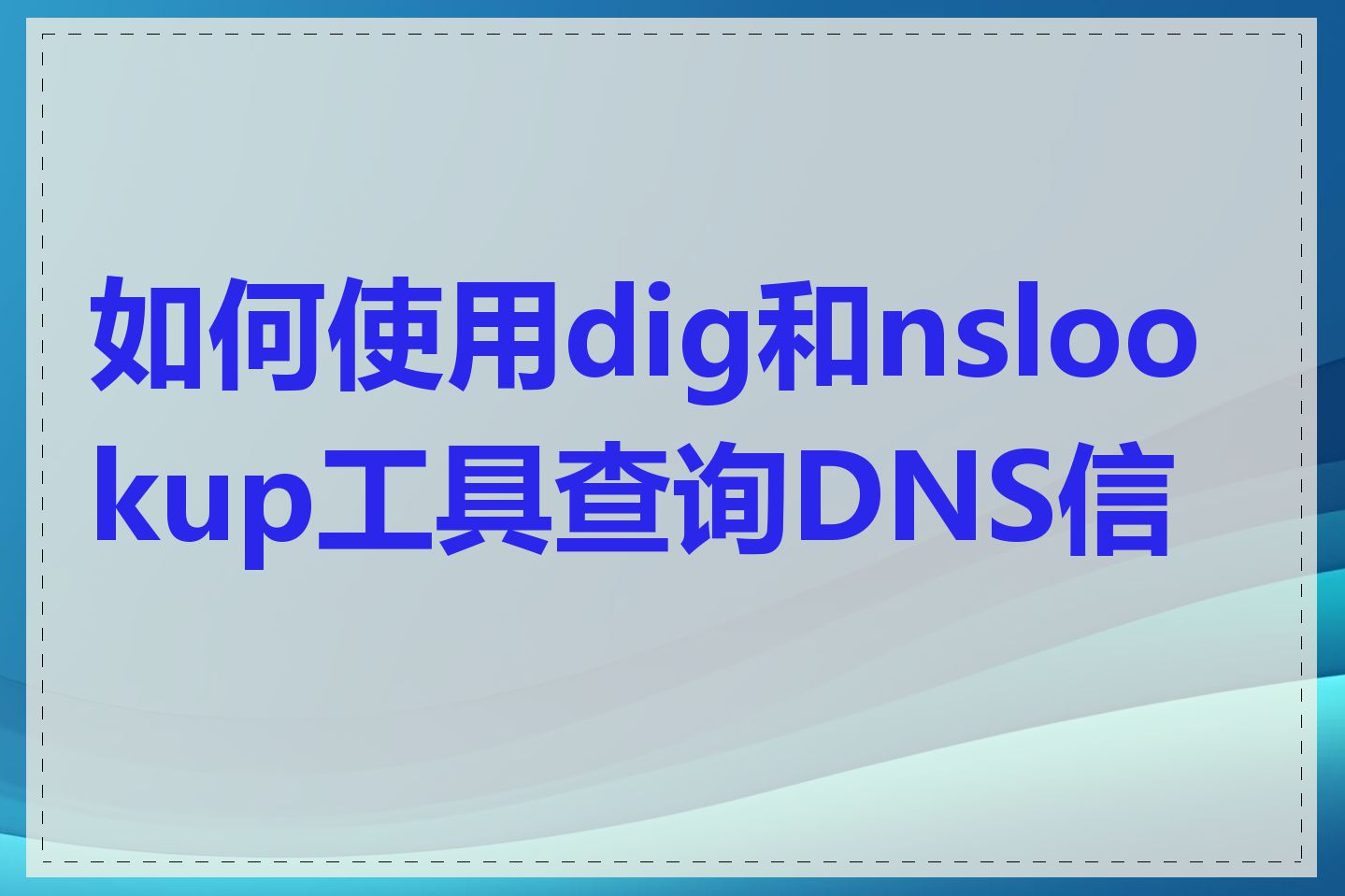 如何使用dig和nslookup工具查询DNS信息
