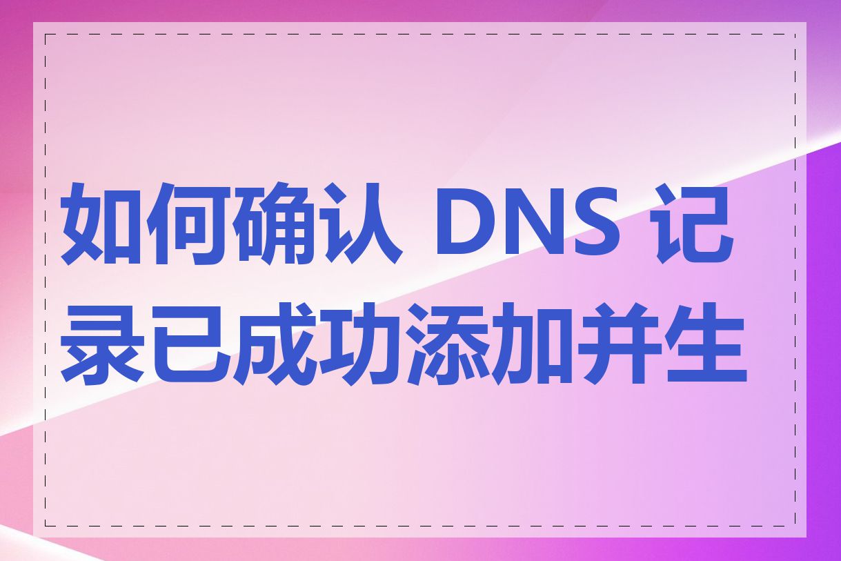 如何确认 DNS 记录已成功添加并生效