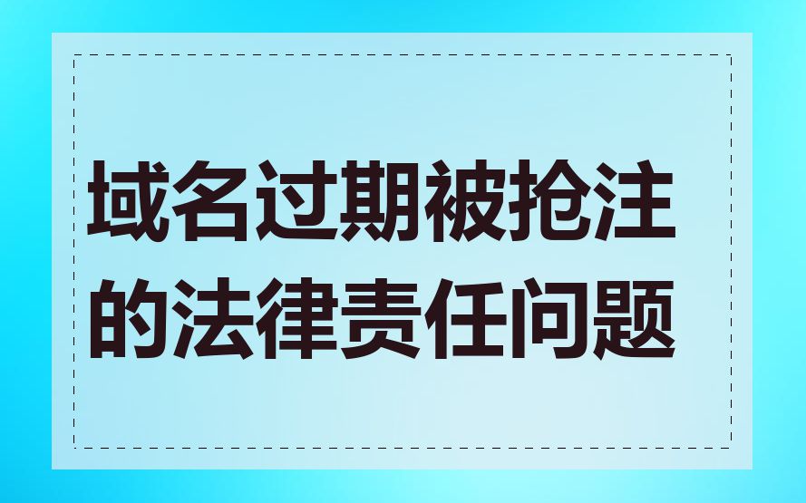 域名过期被抢注的法律责任问题