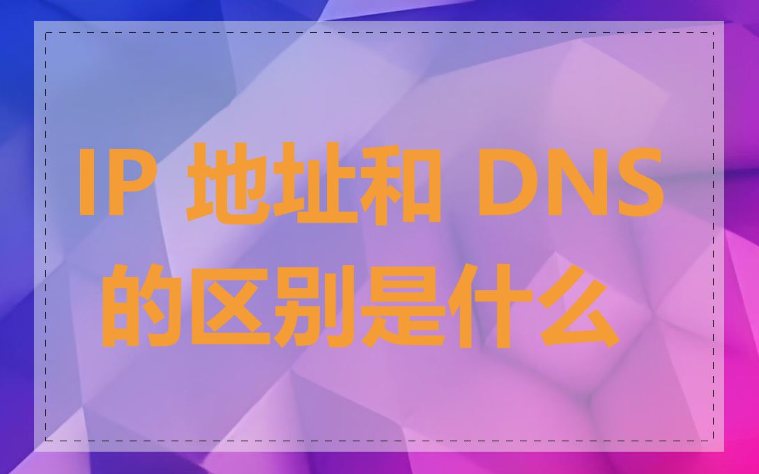 IP 地址和 DNS 的区别是什么