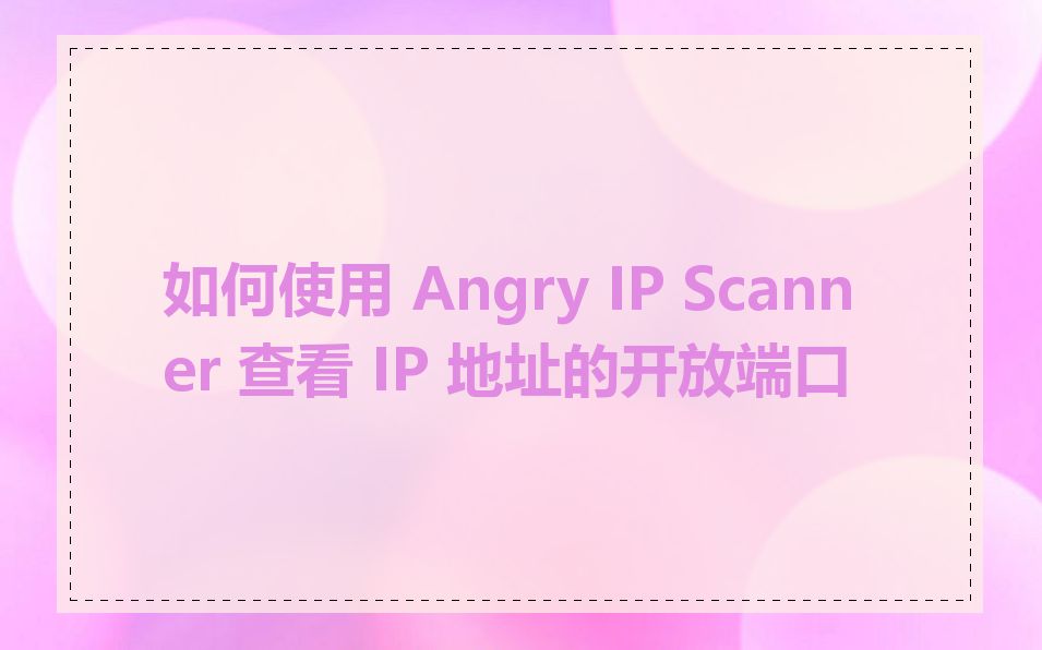 如何使用 Angry IP Scanner 查看 IP 地址的开放端口