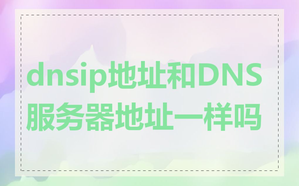 dnsip地址和DNS服务器地址一样吗