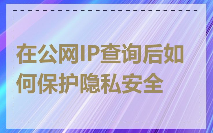 在公网IP查询后如何保护隐私安全