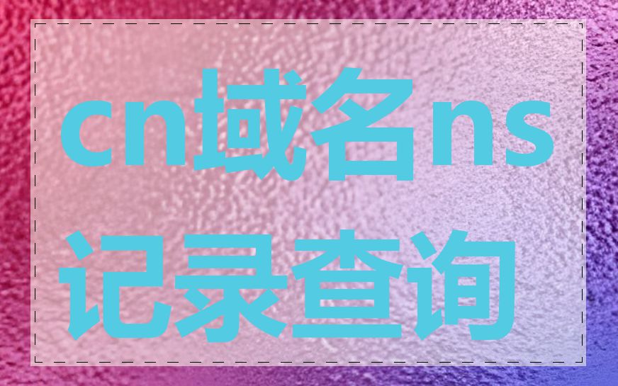 cn域名ns记录查询