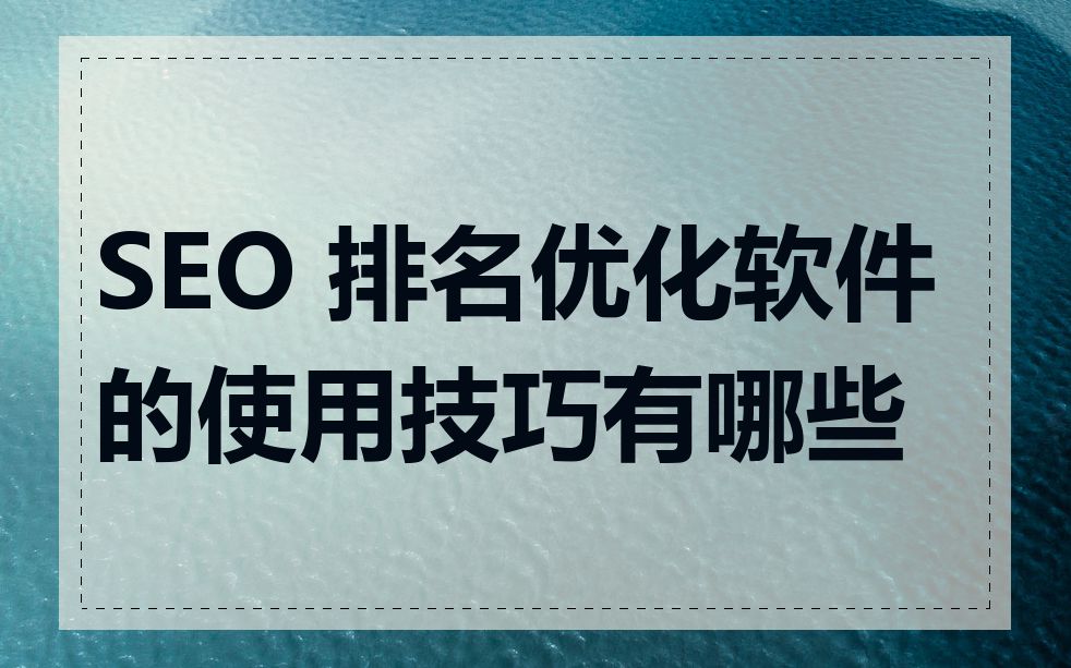 SEO 排名优化软件的使用技巧有哪些