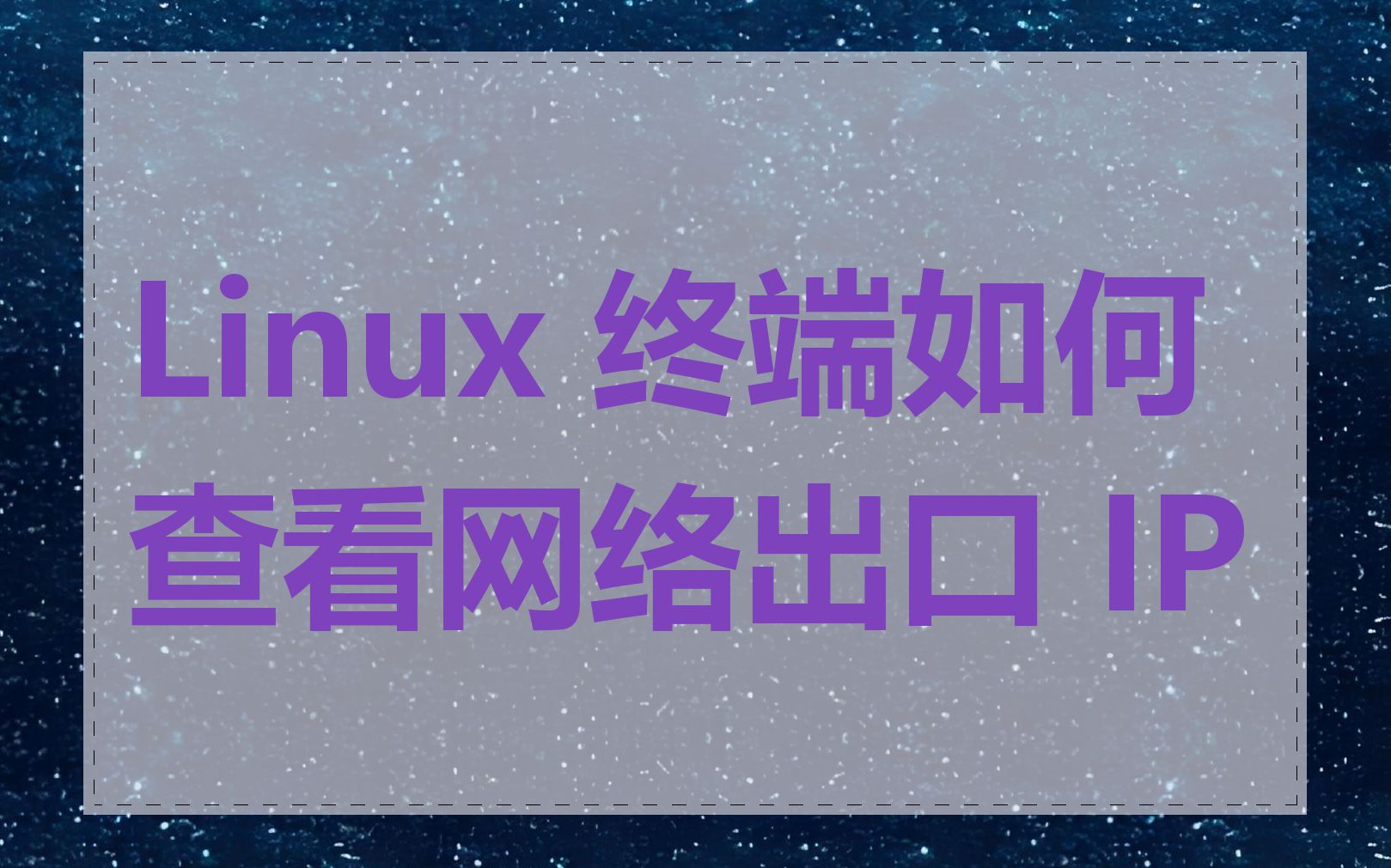 Linux 终端如何查看网络出口 IP