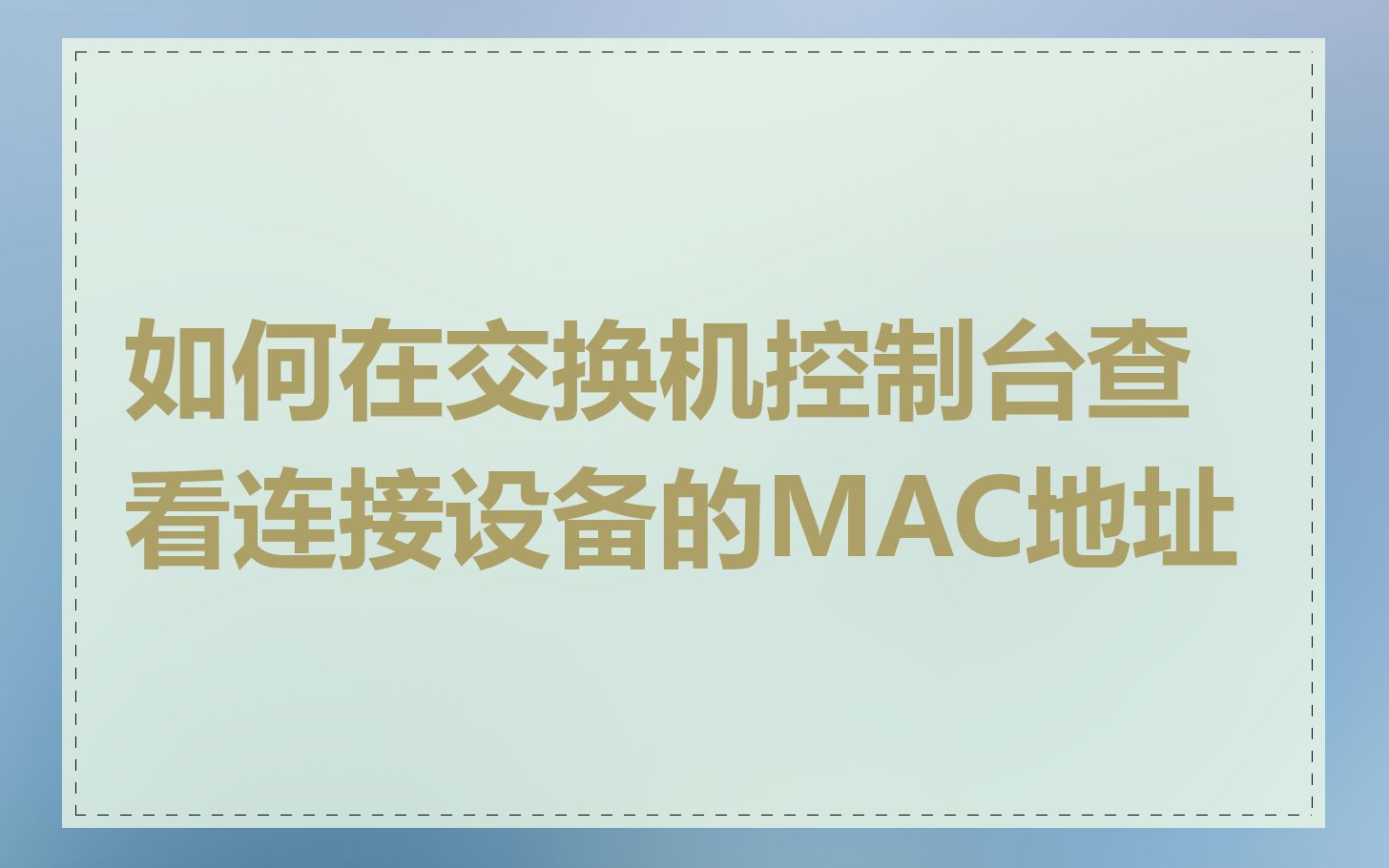 如何在交换机控制台查看连接设备的MAC地址