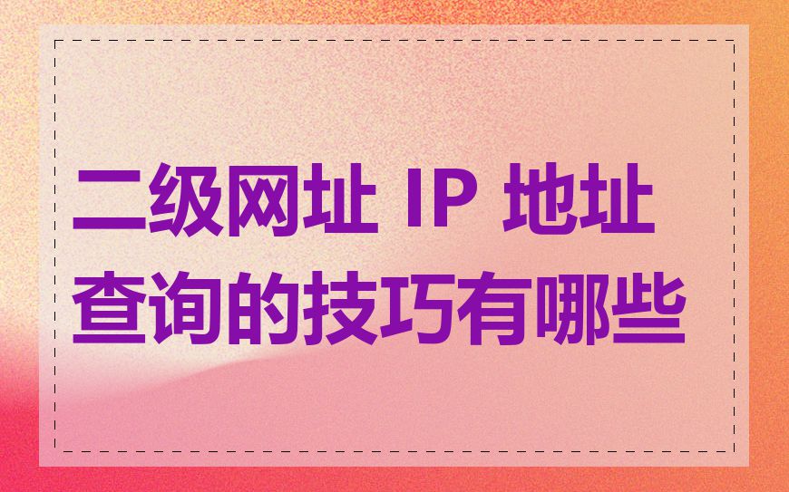 二级网址 IP 地址查询的技巧有哪些