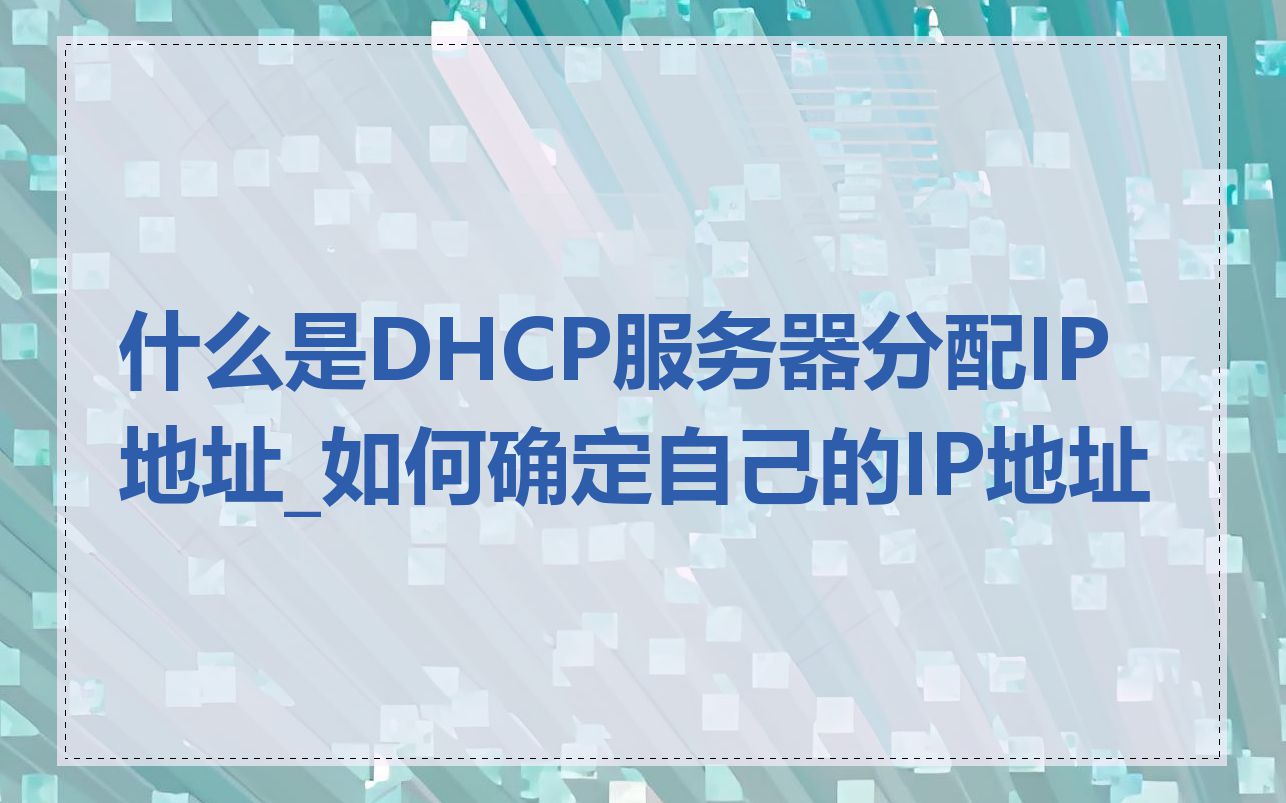 什么是DHCP服务器分配IP地址_如何确定自己的IP地址