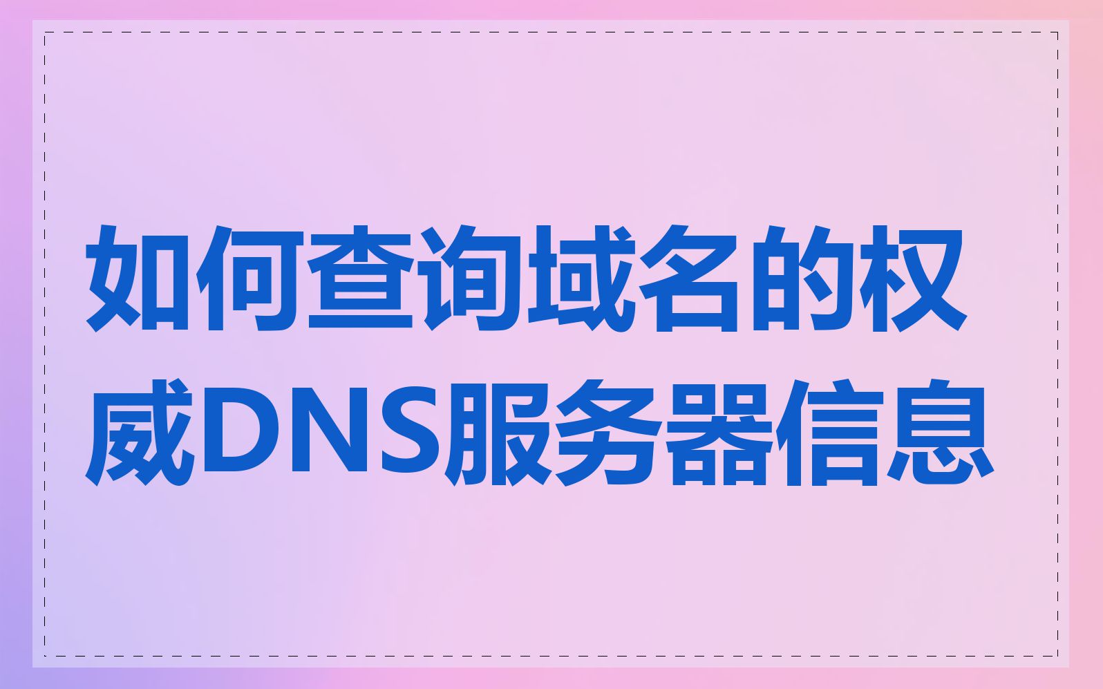 如何查询域名的权威DNS服务器信息