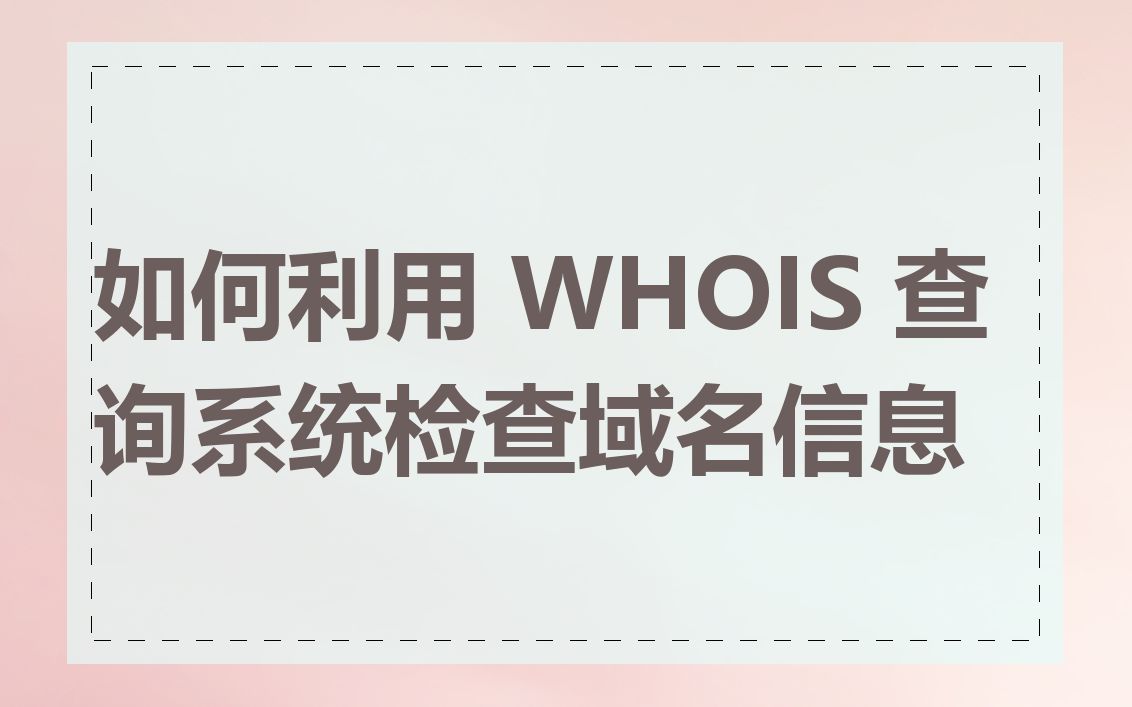 如何利用 WHOIS 查询系统检查域名信息