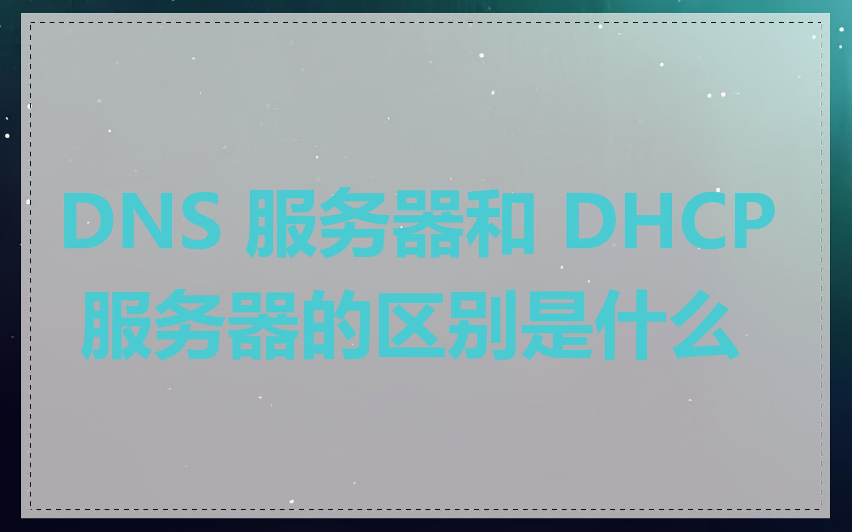 DNS 服务器和 DHCP 服务器的区别是什么