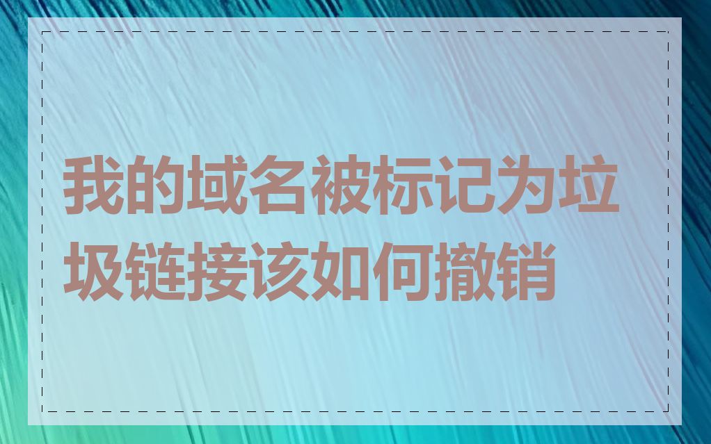 我的域名被标记为垃圾链接该如何撤销