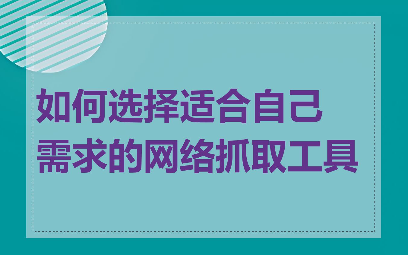 如何选择适合自己需求的网络抓取工具