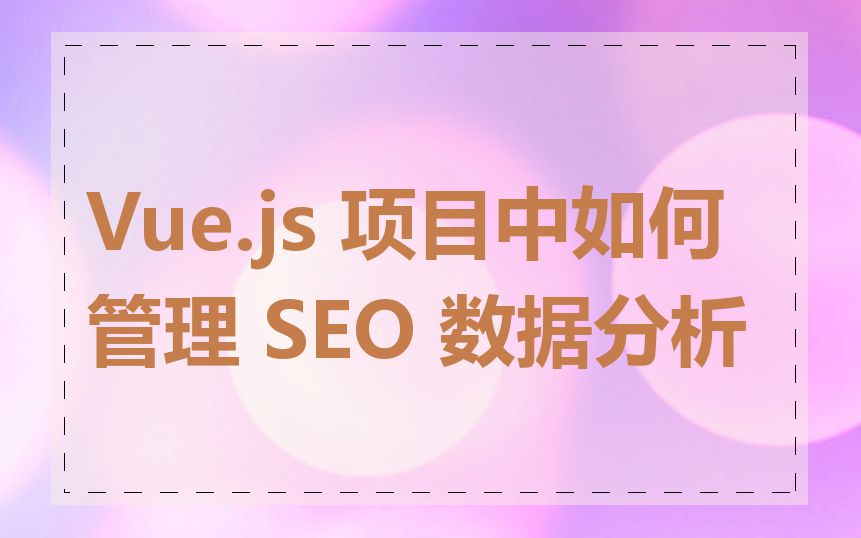 Vue.js 项目中如何管理 SEO 数据分析