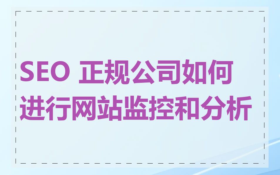 SEO 正规公司如何进行网站监控和分析