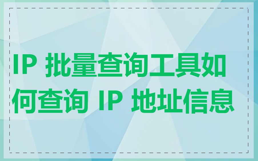 IP 批量查询工具如何查询 IP 地址信息