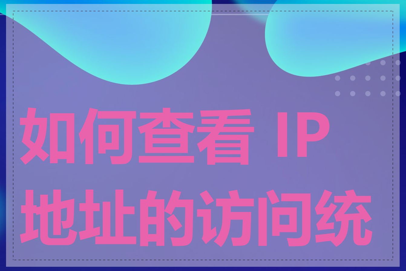 如何查看 IP 地址的访问统计