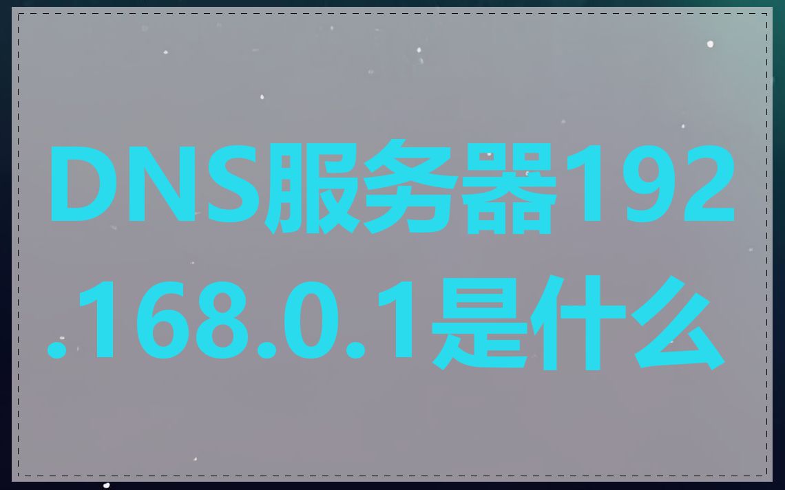 DNS服务器192.168.0.1是什么