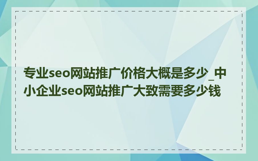 专业seo网站推广价格大概是多少_中小企业seo网站推广大致需要多少钱