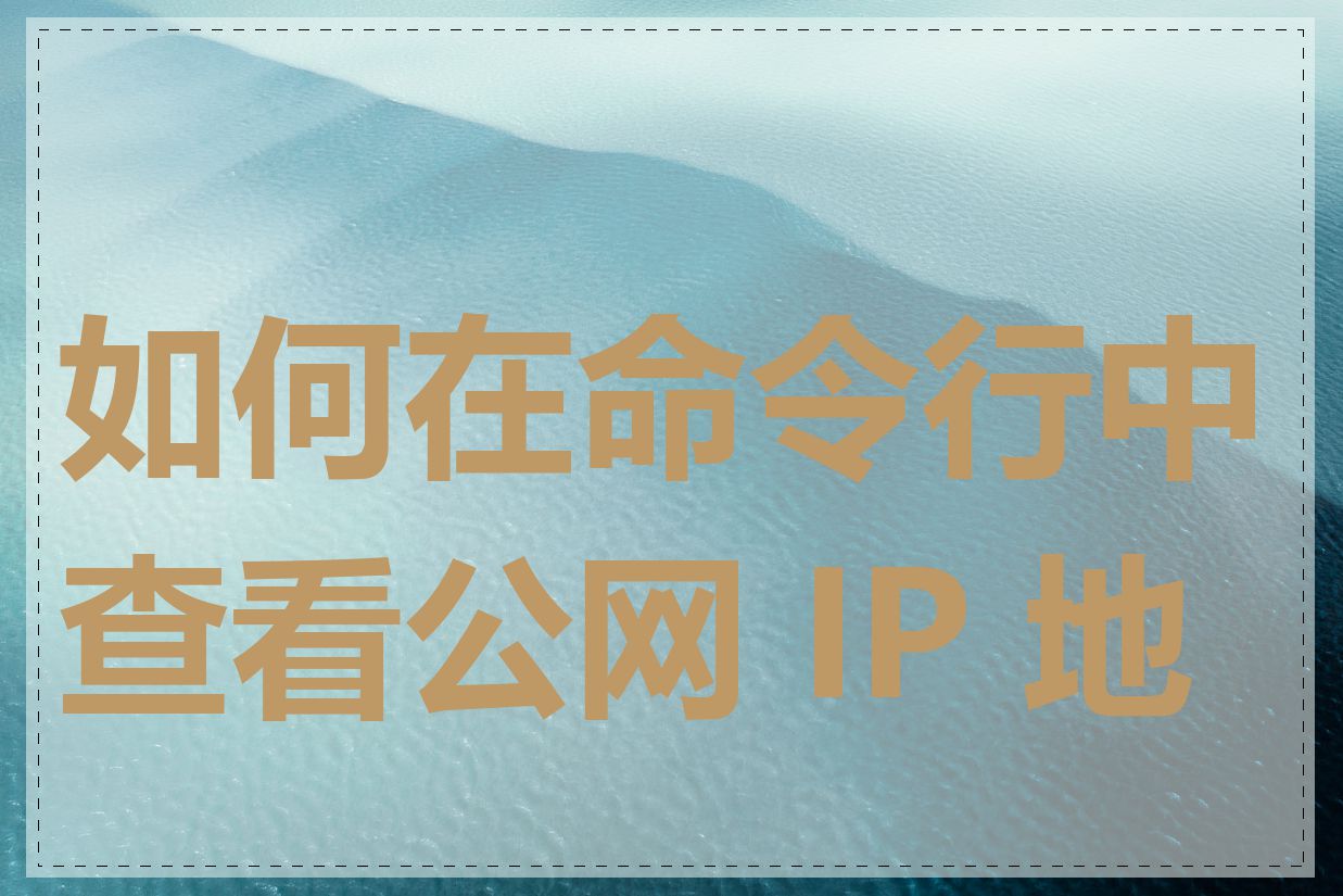 如何在命令行中查看公网 IP 地址