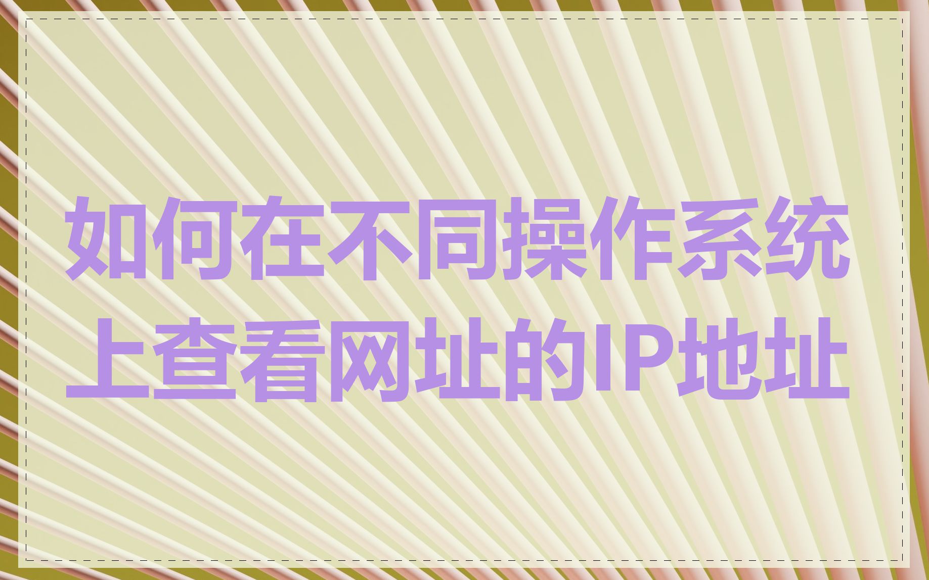 如何在不同操作系统上查看网址的IP地址