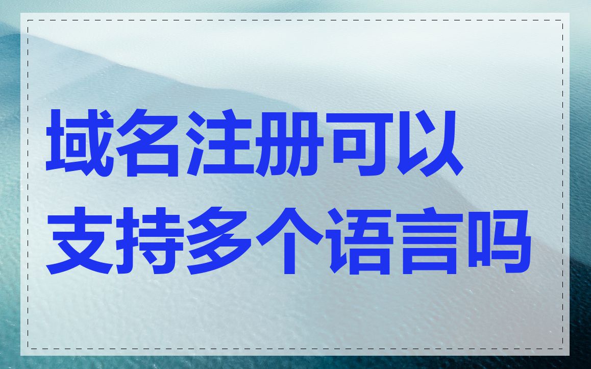 域名注册可以支持多个语言吗