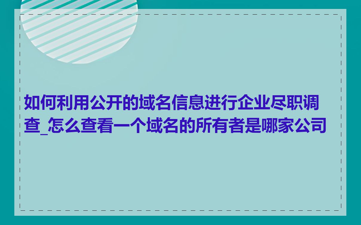 如何利用公开的域名信息进行企业尽职调查_怎么查看一个域名的所有者是哪家公司