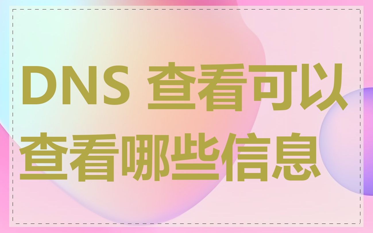 DNS 查看可以查看哪些信息