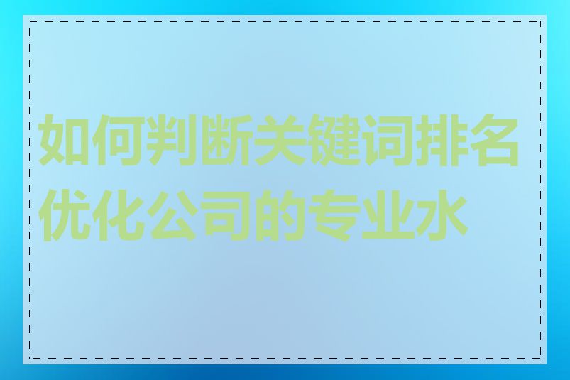 如何判断关键词排名优化公司的专业水平