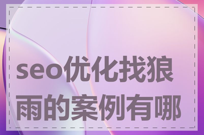 seo优化找狼雨的案例有哪些