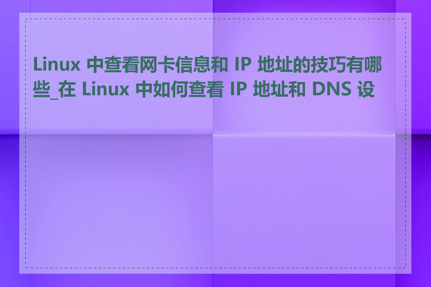 Linux 中查看网卡信息和 IP 地址的技巧有哪些_在 Linux 中如何查看 IP 地址和 DNS 设置