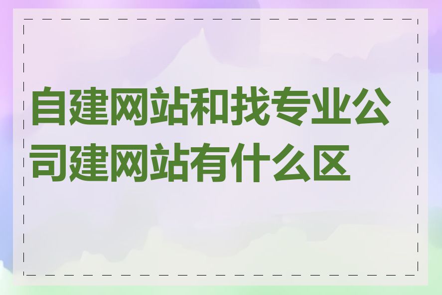 自建网站和找专业公司建网站有什么区别