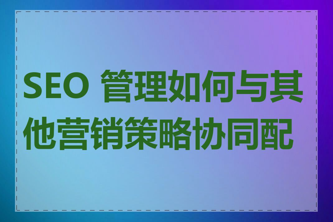 SEO 管理如何与其他营销策略协同配合