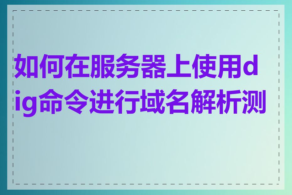 如何在服务器上使用dig命令进行域名解析测试