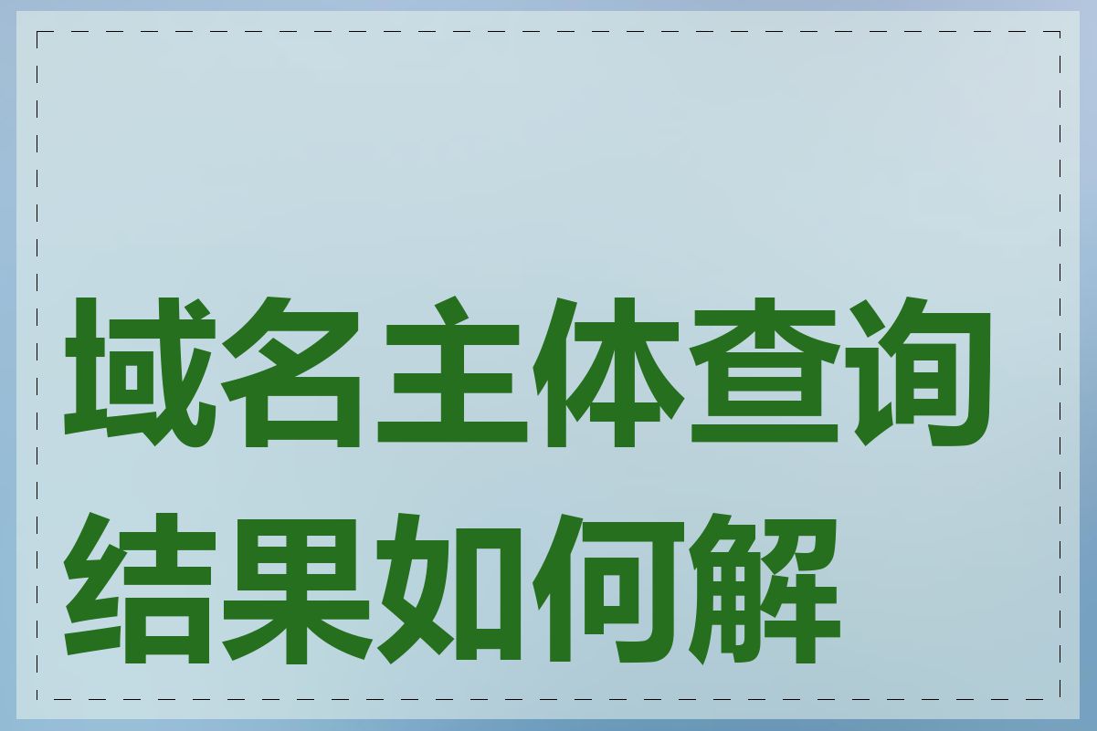 域名主体查询结果如何解读