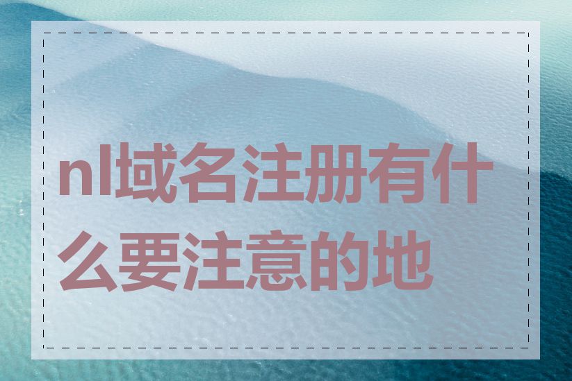 nl域名注册有什么要注意的地方