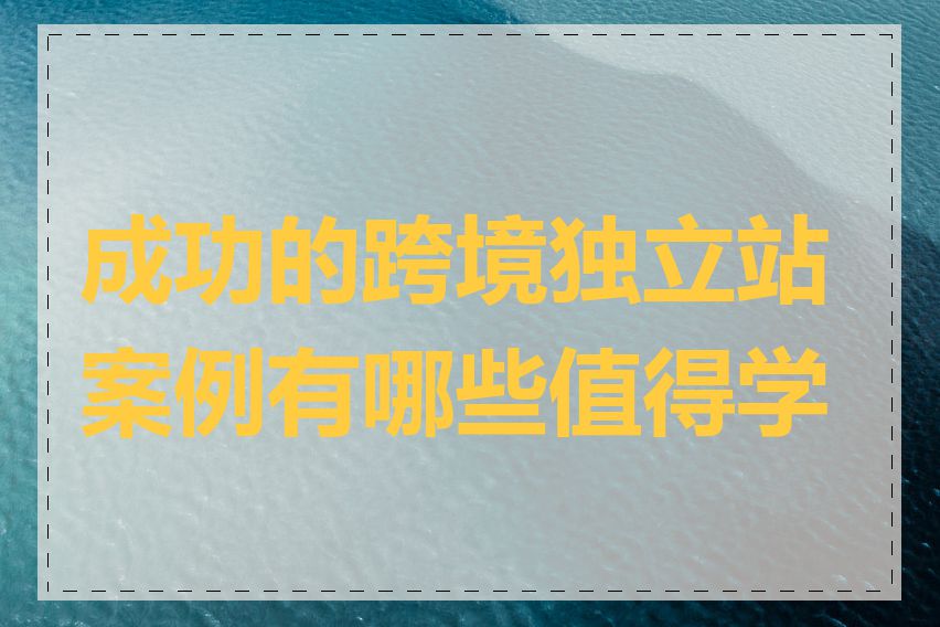 成功的跨境独立站案例有哪些值得学习