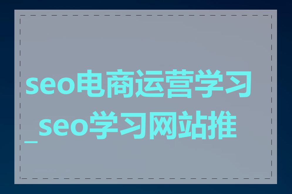 seo电商运营学习_seo学习网站推荐