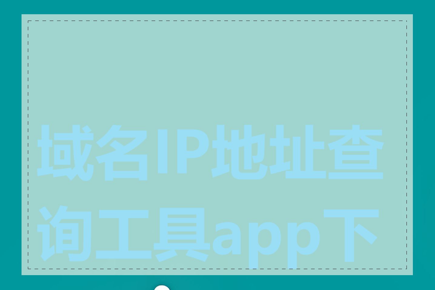 域名IP地址查询工具app下载