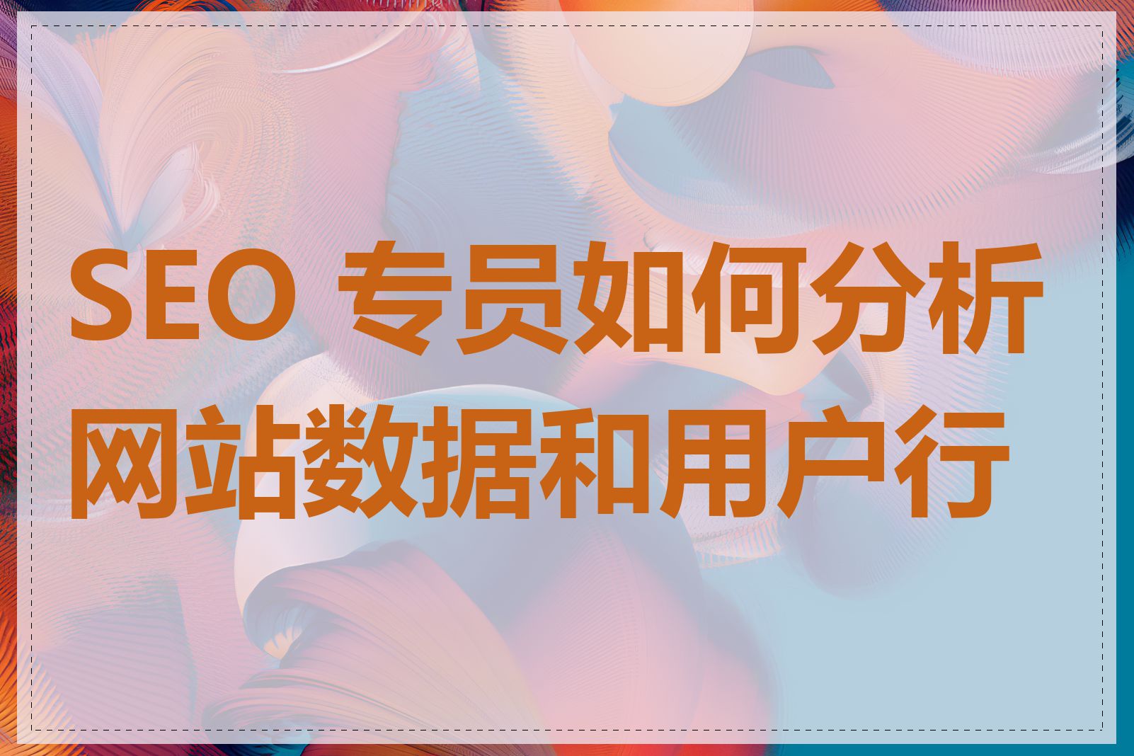 SEO 专员如何分析网站数据和用户行为