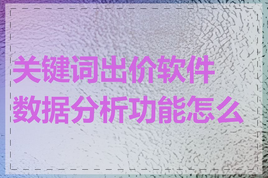 关键词出价软件数据分析功能怎么用