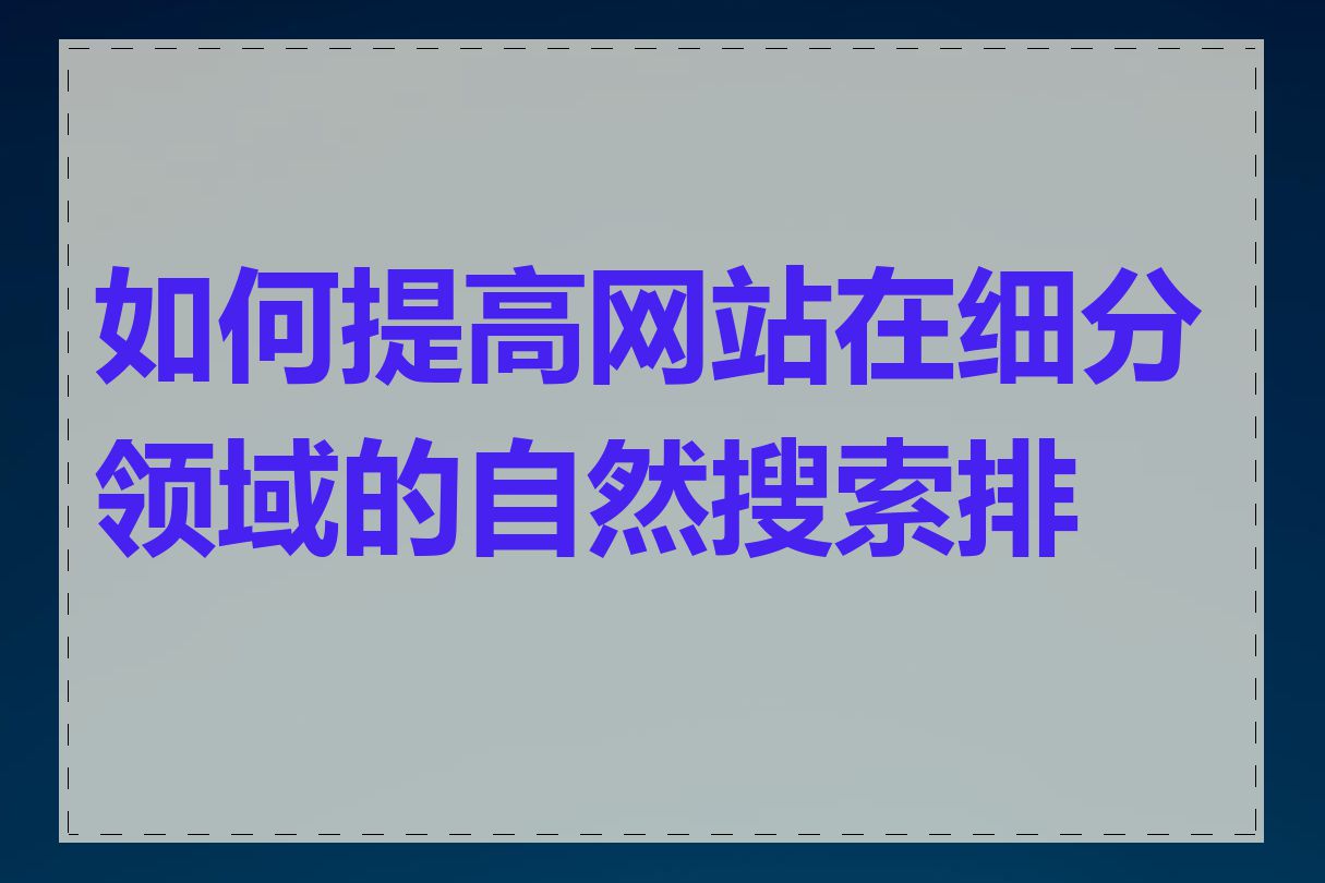 如何提高网站在细分领域的自然搜索排名