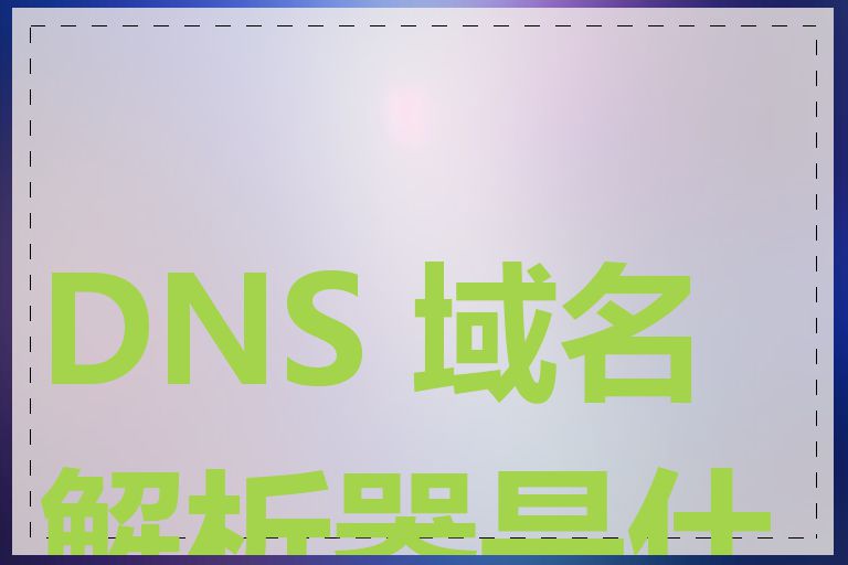 DNS 域名解析器是什么