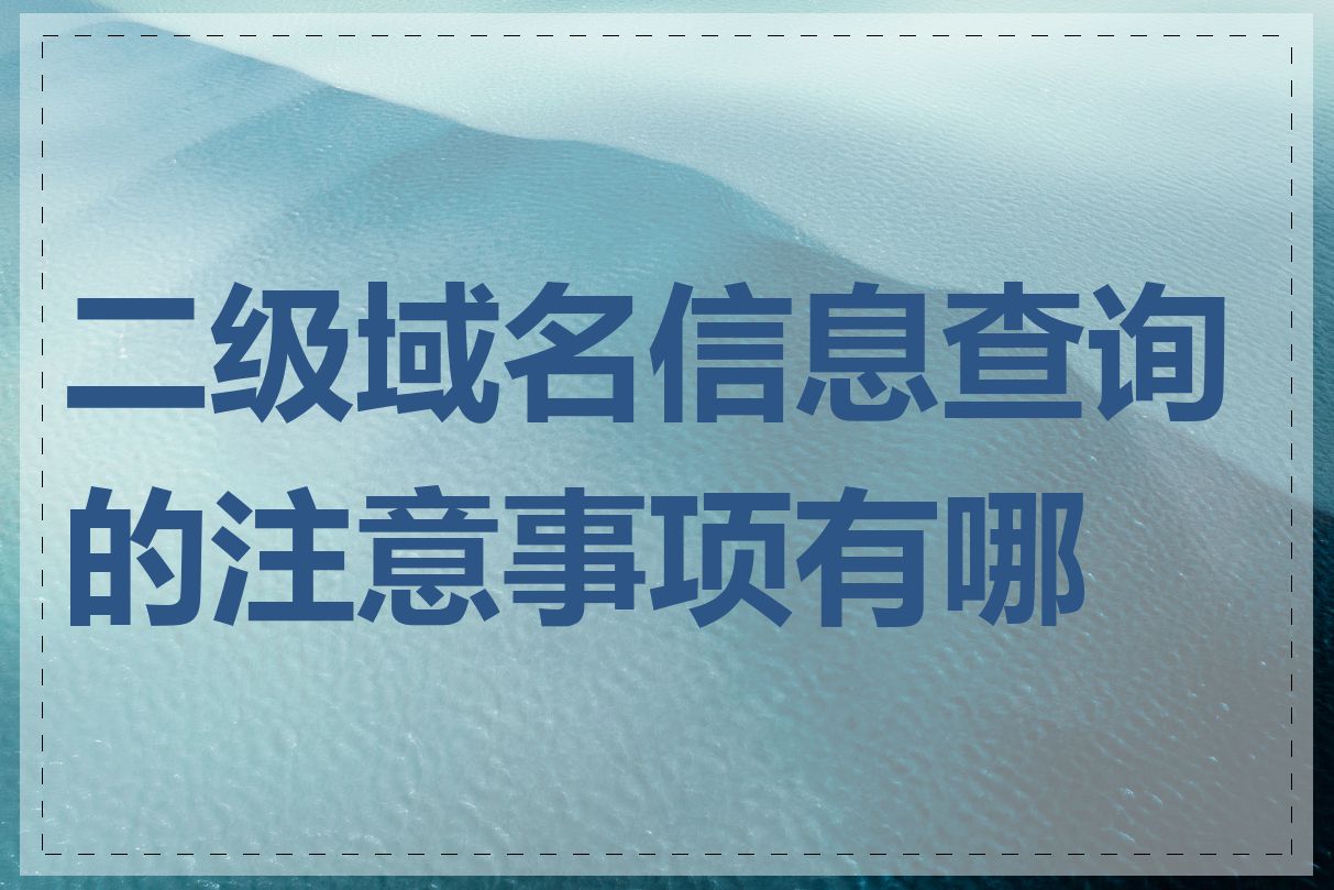 二级域名信息查询的注意事项有哪些