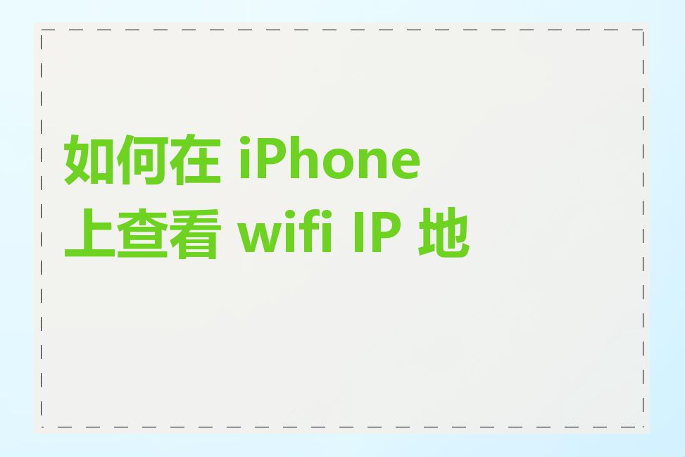 如何在 iPhone 上查看 wifi IP 地址