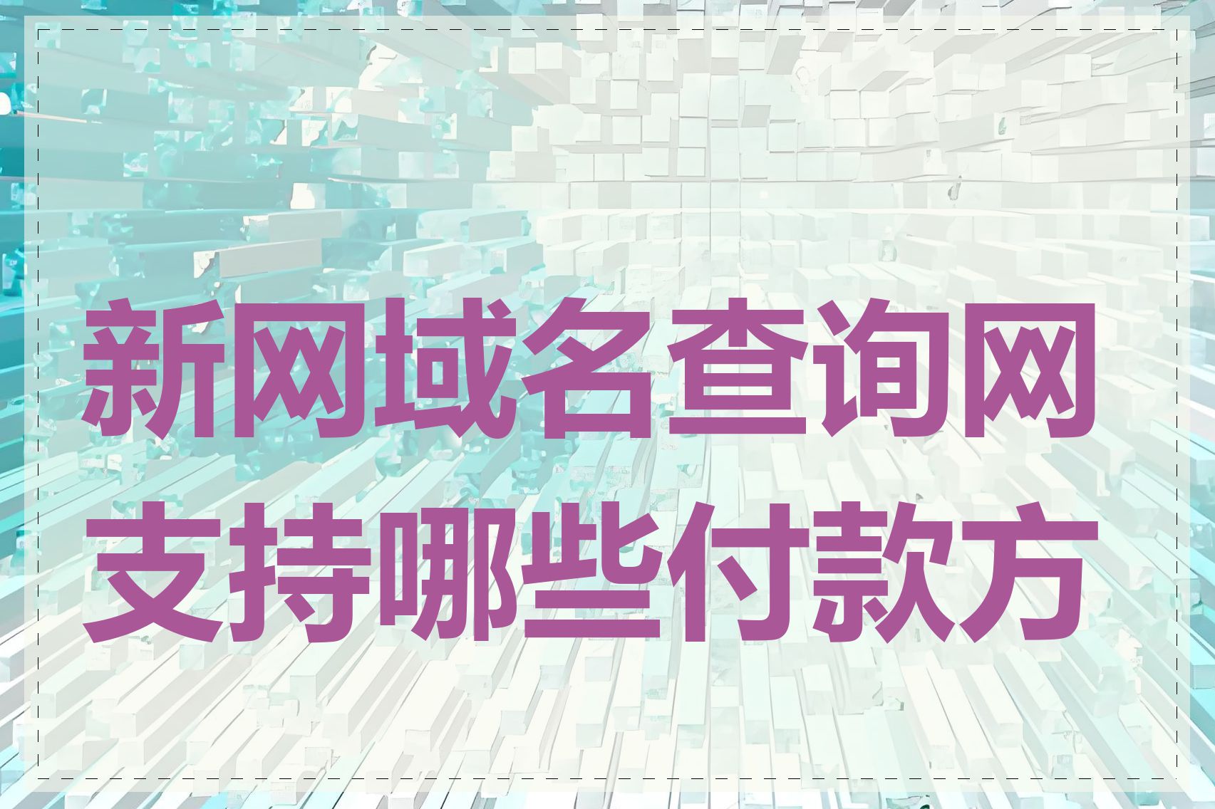 新网域名查询网支持哪些付款方式