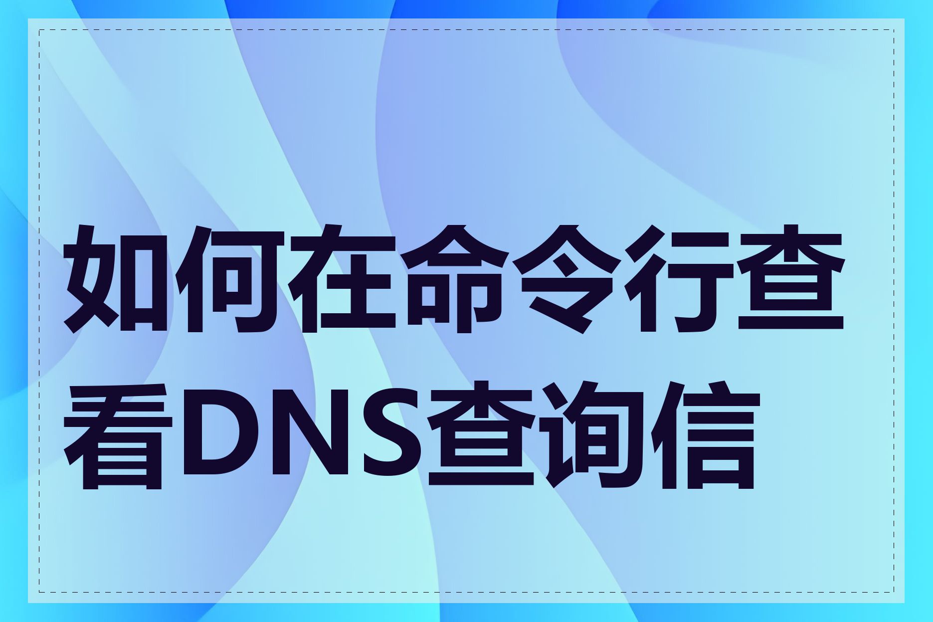 如何在命令行查看DNS查询信息