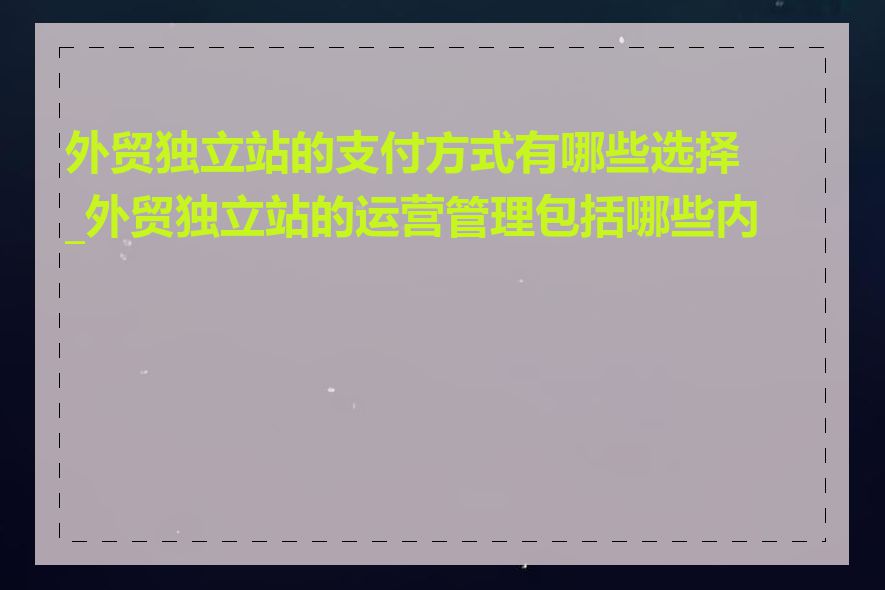 外贸独立站的支付方式有哪些选择_外贸独立站的运营管理包括哪些内容