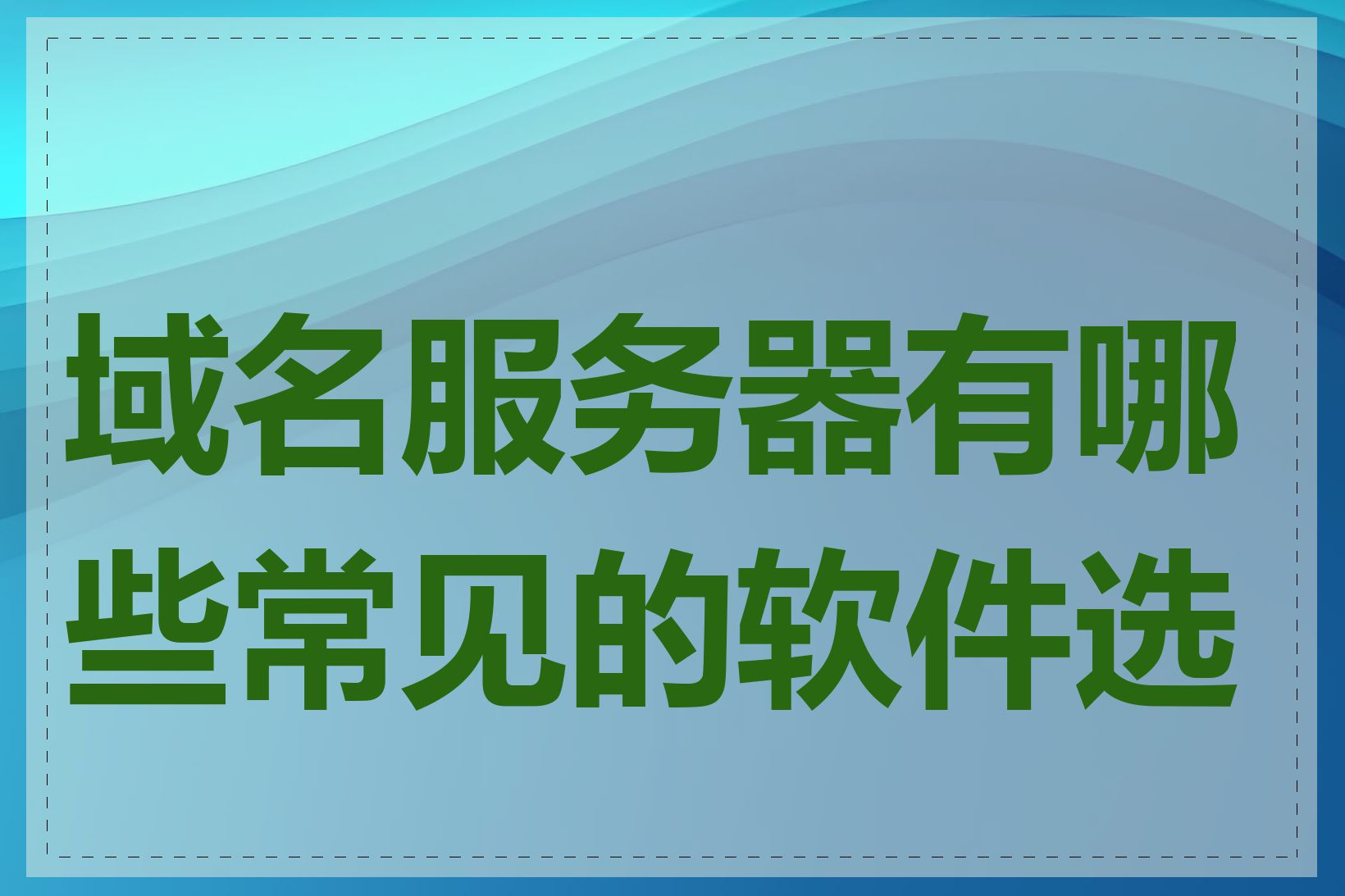 域名服务器有哪些常见的软件选择